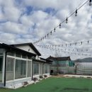 탁트인민박 이미지