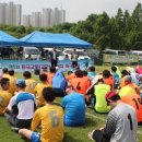 선동잔디구장 천연잔디구장 이미지