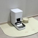 멍멍식탁 | 반려견 밥자리를 깔끔하게! 멍멍집사 논슬립 강아지 식기매트 사용 후기