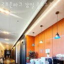 솔보 이미지