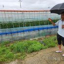 박대성농장 이미지