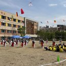 세교초등학교 이미지