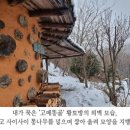 고메똥골 이미지