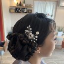 류버들의 체이스옷 이미지