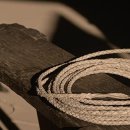 도그스토리 이미지