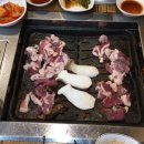 풍년오리박사 이미지