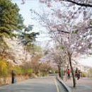 충훈2교 옆 이미지