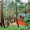 노치산촌생태마을 이미지