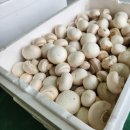 석성농장 이미지