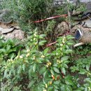 남구-124 이미지