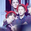 데이민