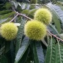 반곡고등학교 이미지