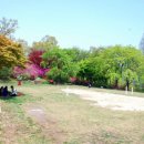 철쭉공원 화장실(중앙) 이미지