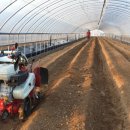 신암2농장 이미지