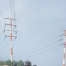 궁평항주유소 이미지