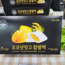 수입브랜드노은