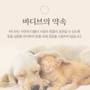 디즈뷰티 | [올리브영 바디워시 추천] 바디브 바디워시, 올여름 등드름 고민된다면 여드름 기능성 바디브 바디워시...