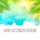 썬스파해양 | 세부 샹그릴라 리조트 - 객실,수영장,조식,치스파 순으로 호사스러움 총정리