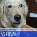 아차산로34길 네이버블로그