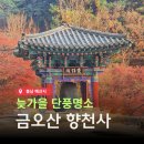예산 단풍명소 금오산 향천사 포토존