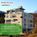 니팅홍차