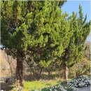 은혜노인복지센타 이미지