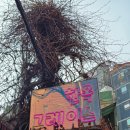 반포대로23길 45-10 | Part 22 : 2026년 첫 데이트(1주년 기념 여행)