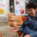 진정농장 이미지