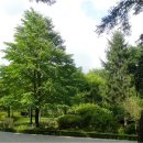 마음의 문 이미지