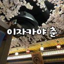 안산 상록수 분위기 좋은 술집 상록수 이자카야 춘 메뉴부터 분위기까지 내돈내산 후기