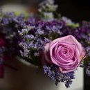 그대와 나 이미지