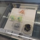 오브콜스 | [이태원 카페] 케이크 맛집 ‘커피오브콜스’ 내돈내산 솔직후기