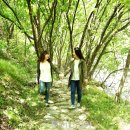 녹색의 추억 이미지