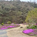 오송송어장 이미지