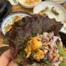 한성대입구역 맛집 내돈내산 우렁쌈밥 신신식당 식객 허영만의백반기행