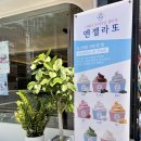 데이원(DAY 1) 이미지