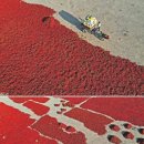 신강농장 이미지