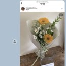 호주소사랑 네이버블로그