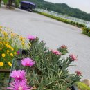 영월리버사이드 이미지