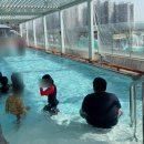 스파탕 | 아산 탕정온천 "더프라하스파" 노천탕 스파 후기 | 주차·할인·가격