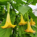 덕유산 뜰 펜션 이미지