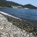 송학횟집 이미지