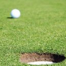 유성관광㈜ 이미지