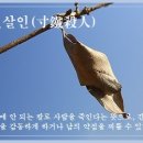 촌철살인(寸鐵殺人) 이미지