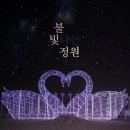 캡틴제주 | 제주특별자치도 :) 제주도야간명소 제주불빛정원