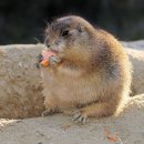 어울림병원 이미지