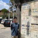 가우리 GAURI 이미지