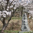 홍산119안전센터 이미지