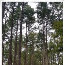 황전초대치분교장 이미지