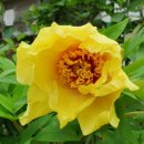 모란경로당 이미지